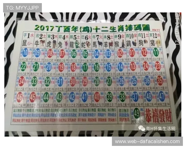 揭秘香港六合彩最新开奖走势与号码分析全解读指南 揭秘香港六合彩最新开奖走势与号码分析全解读指南